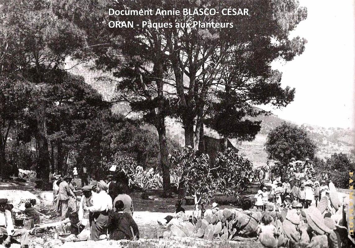 Paella aux planteurs.jpg